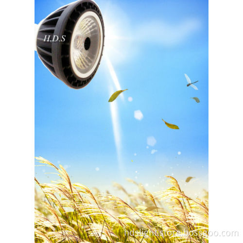 led spot light mr16 24v 3w Can do dimmable